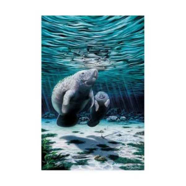 Dann Spider Warren 'Mermaids Of Crystal River' Canvas Art, 12x19, Trademark Fine Art, Mfr#: ALI46661-C1219GG